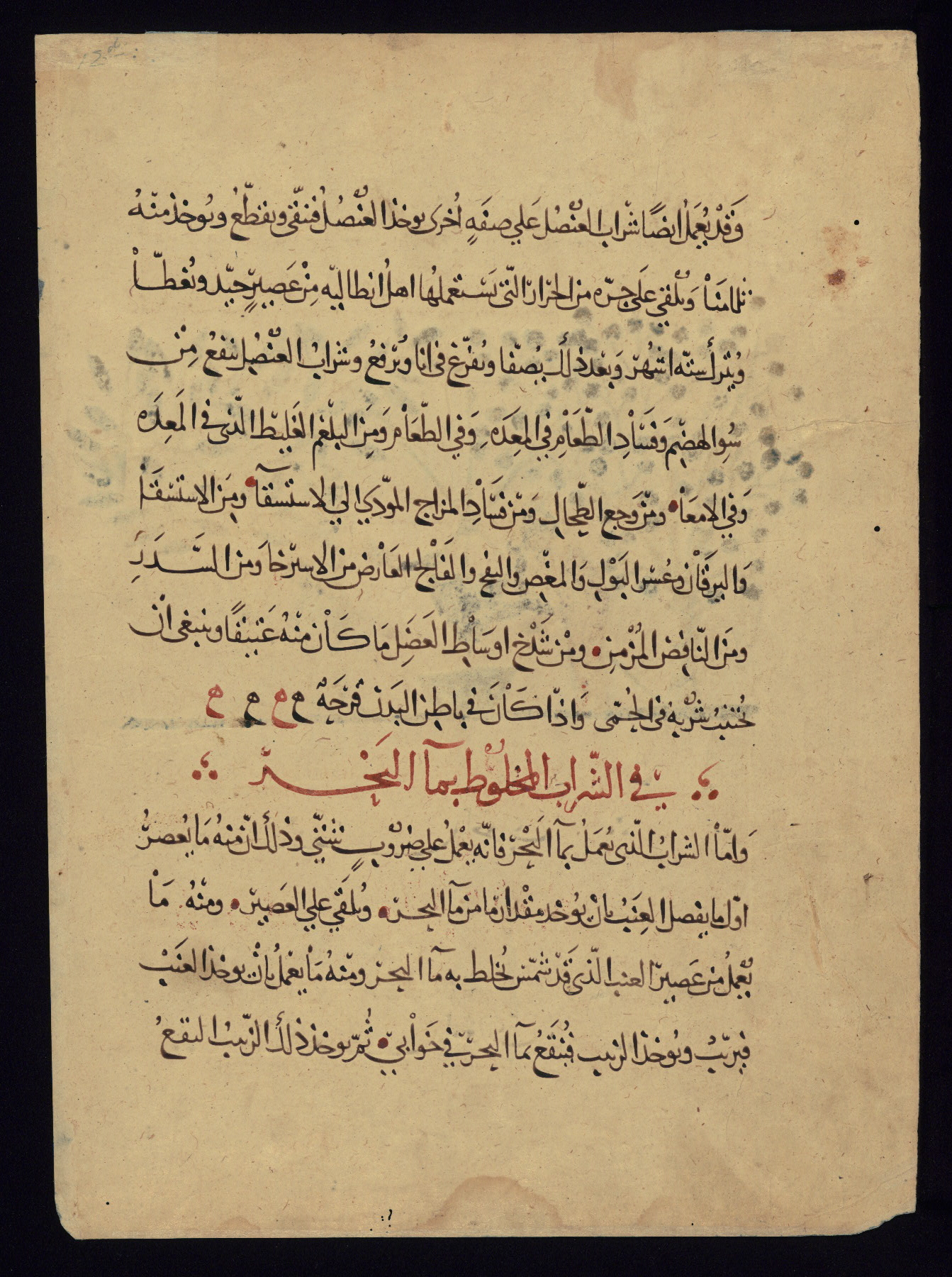 Walters Ms. W.675, Single leaf from the Arabic version of