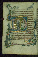 W.110, fol. 136v