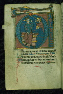 W.116, fol. 22v