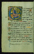 W.117, fol. 81v