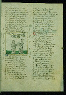 W.141, fol. 28r