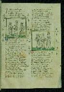 W.141, fol. 40r