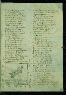 W.141, fol. 83r