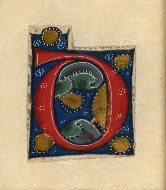 W.152, Fragment 24, front