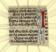 W.152, Fragment 18, back