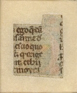 W.152, Fragment 24, back