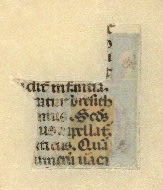 W.152, Fragment 25, back