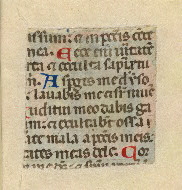 W.152, Fragment 29, back
