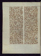 W.175, fol. 65v