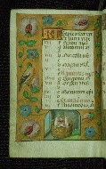 W.176, fol. 8v