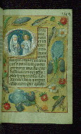 W.176, fol. 144r