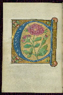 W.200, fol. 9v