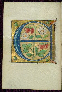 W.200, fol. 11v