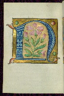 W.200, fol. 19v