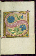 W.200, fol. 24r