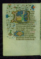 W.202, fol. 80v