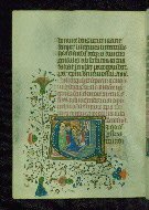 W.202, fol. 134v