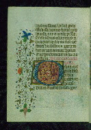 W.202, fol. 141v