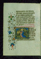 W.202, fol. 143v