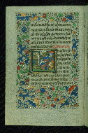 W.204, fol. 17v