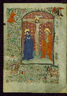 W.239, fol. 13v