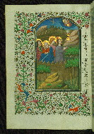 W.246, fol. 13v