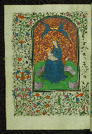 W.246, fol. 33v