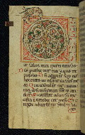 W.25, fol. 25v