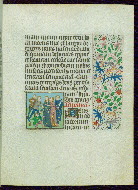 W.277, fol. 24r