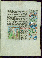 W.277, fol. 29r