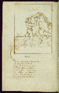 W.313, fol. 17v