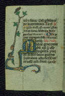 W.37, fol. 28v