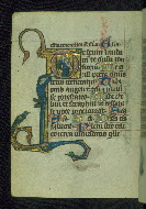 W.37, fol. 30v