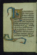 W.37, fol. 41v