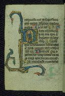 W.37, fol. 50v