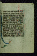 W.37, fol. 51r