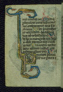 W.37, fol. 80v