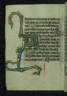 W.37, fol. 81v