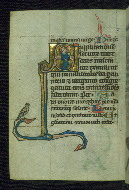 W.37, fol. 91v