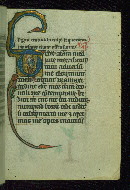 W.37, fol. 161r