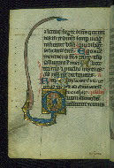 W.37, fol. 178v