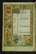 W.427, fol. 5v