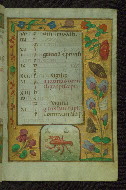 W.427, fol. 8r