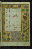 W.427, fol. 11r