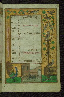 W.427, fol. 12r