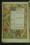 W.427, fol. 12v