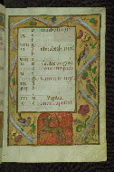 W.427, fol. 13r