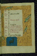 W.428, fol. 13r