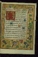 W.433, fol. 49r