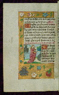 W.434, fol. 206v